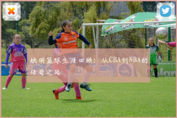 姚明篮球生涯回顾：从CBA到NBA的传奇之路